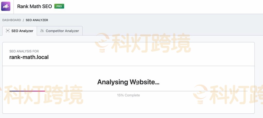 开始分析网站