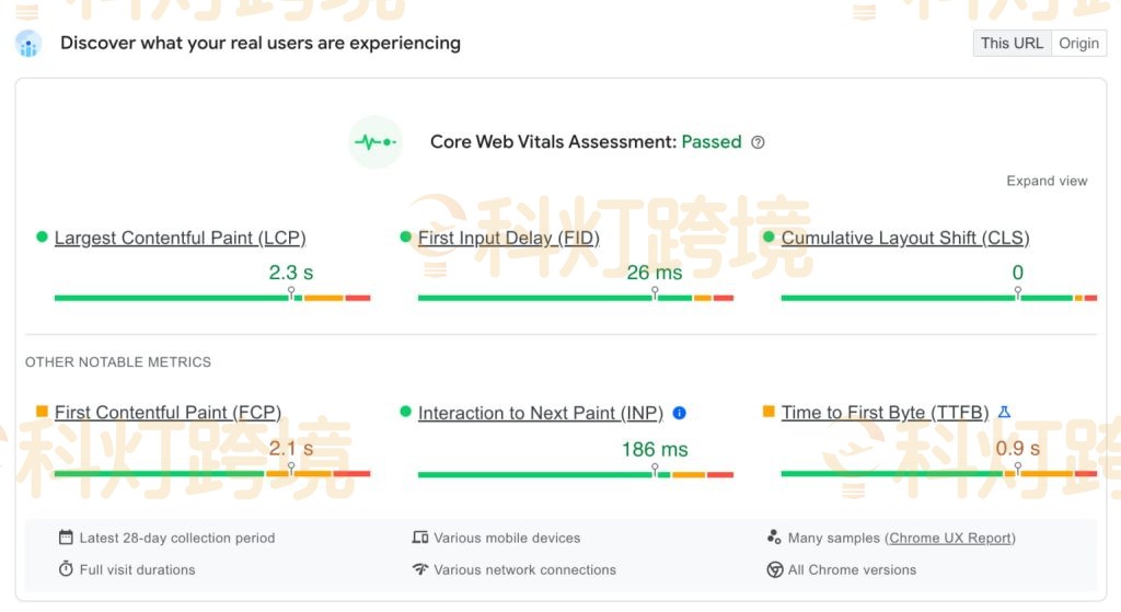 PageSpeed Insights