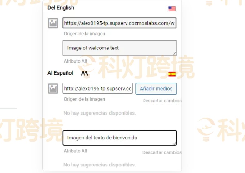 翻译关联元信息