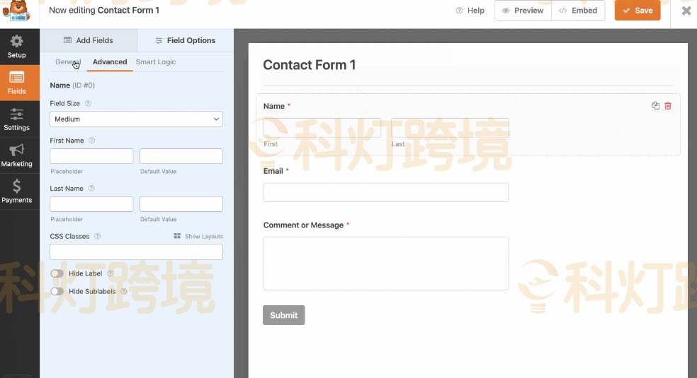 WPForms表单的标签设置
