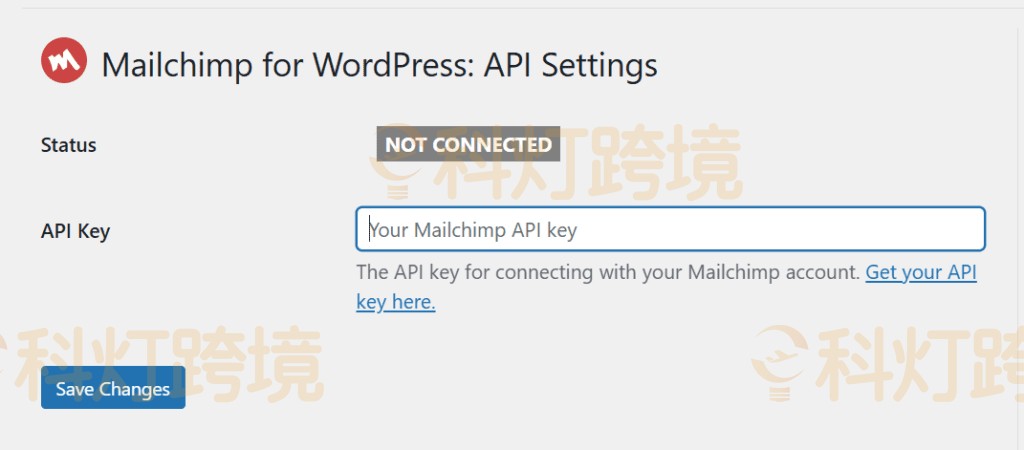 粘贴 MailChimp API 密钥