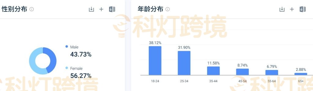 SimilarWeb中YRU Shoes官网受众群体分布